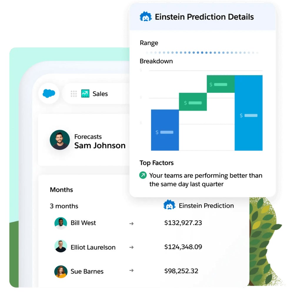 Salesforce Einstein interface.