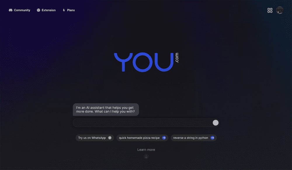 YouChat screenshot.